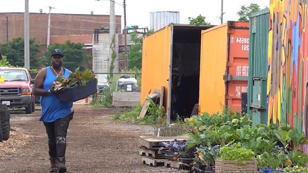 芝加哥城市种植者集体视频剪辑
